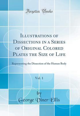 Read Illustrations of Dissections in a Series of Original Colored Plates the Size of Life, Vol. 1: Representing the Dissection of the Human Body (Classic Reprint) - George Viner Ellis file in ePub