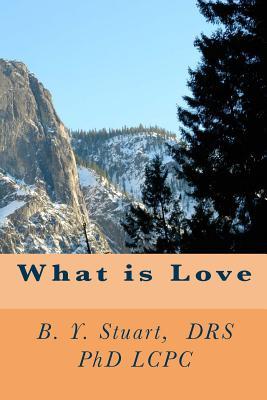 Read What is Love: Inspirational Series for Personal Development - B.Y. Stuart file in ePub